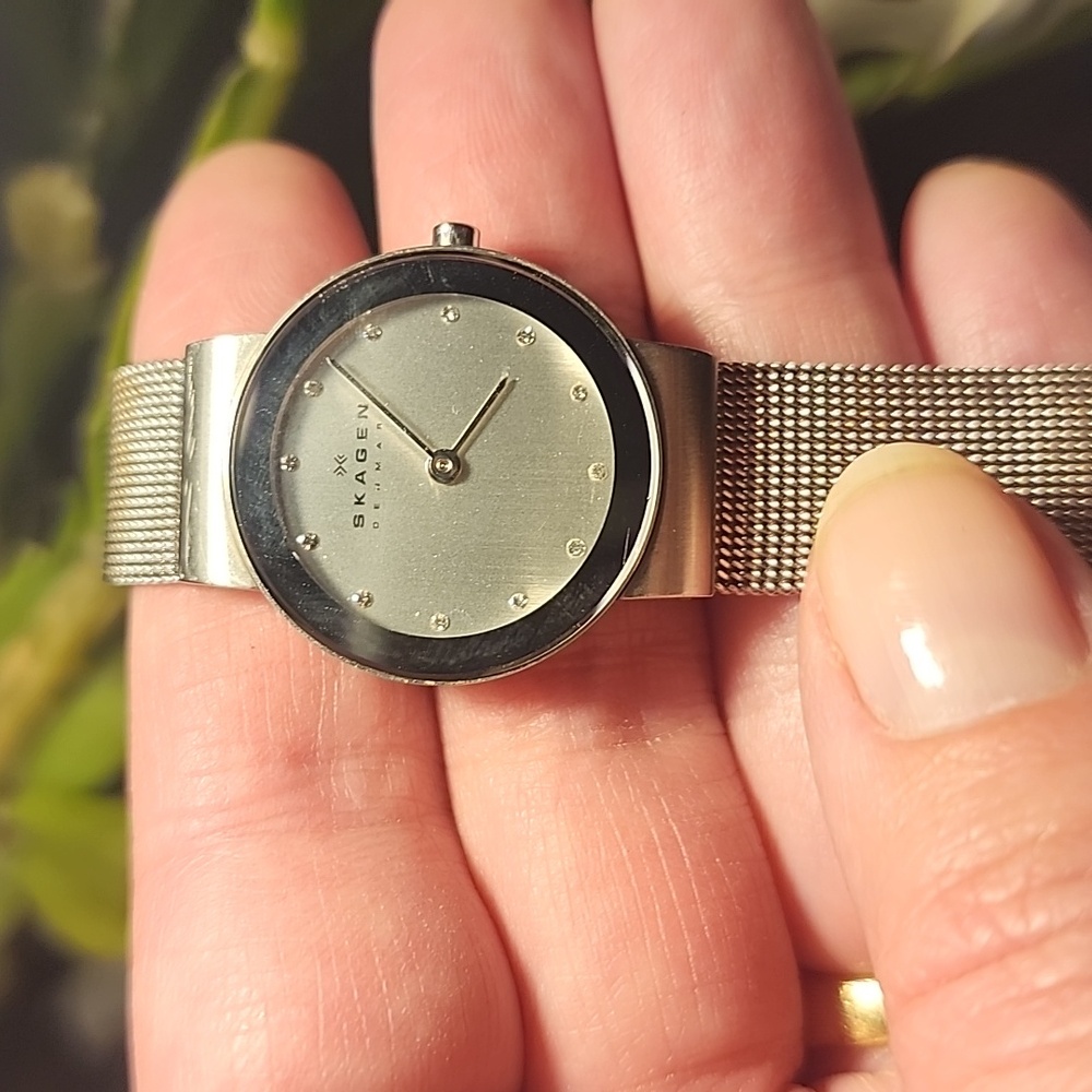 Skagen Women's Silver Dial Mesh Watch